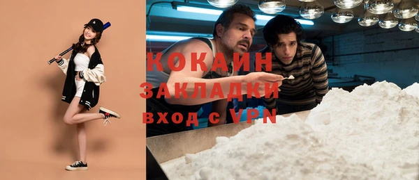спиды Арсеньев