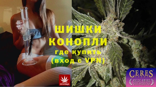 спиды Арсеньев