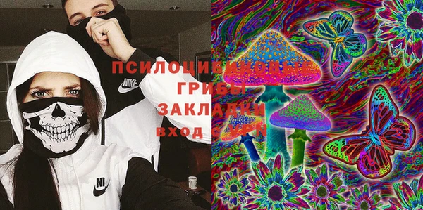 прущие крисы Аркадак