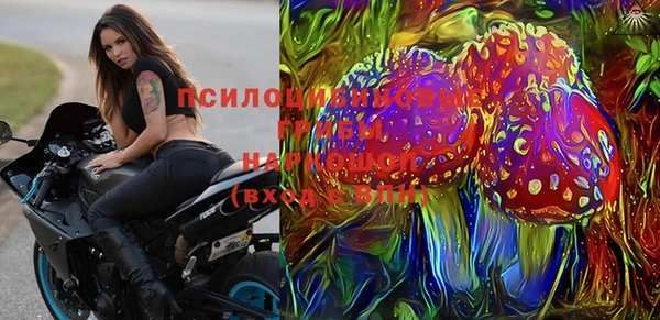 прущие крисы Аркадак